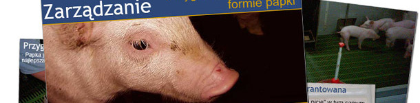 3trzy3.pl zaprasza do odwiedzenia nowej sekcji "Zarządzanie stadem", w której będą publikowane prezentacje na temat metod zarządzania stadem świń.